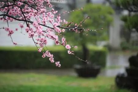 一波晴好天气在路上,不过23日早晨气温较低