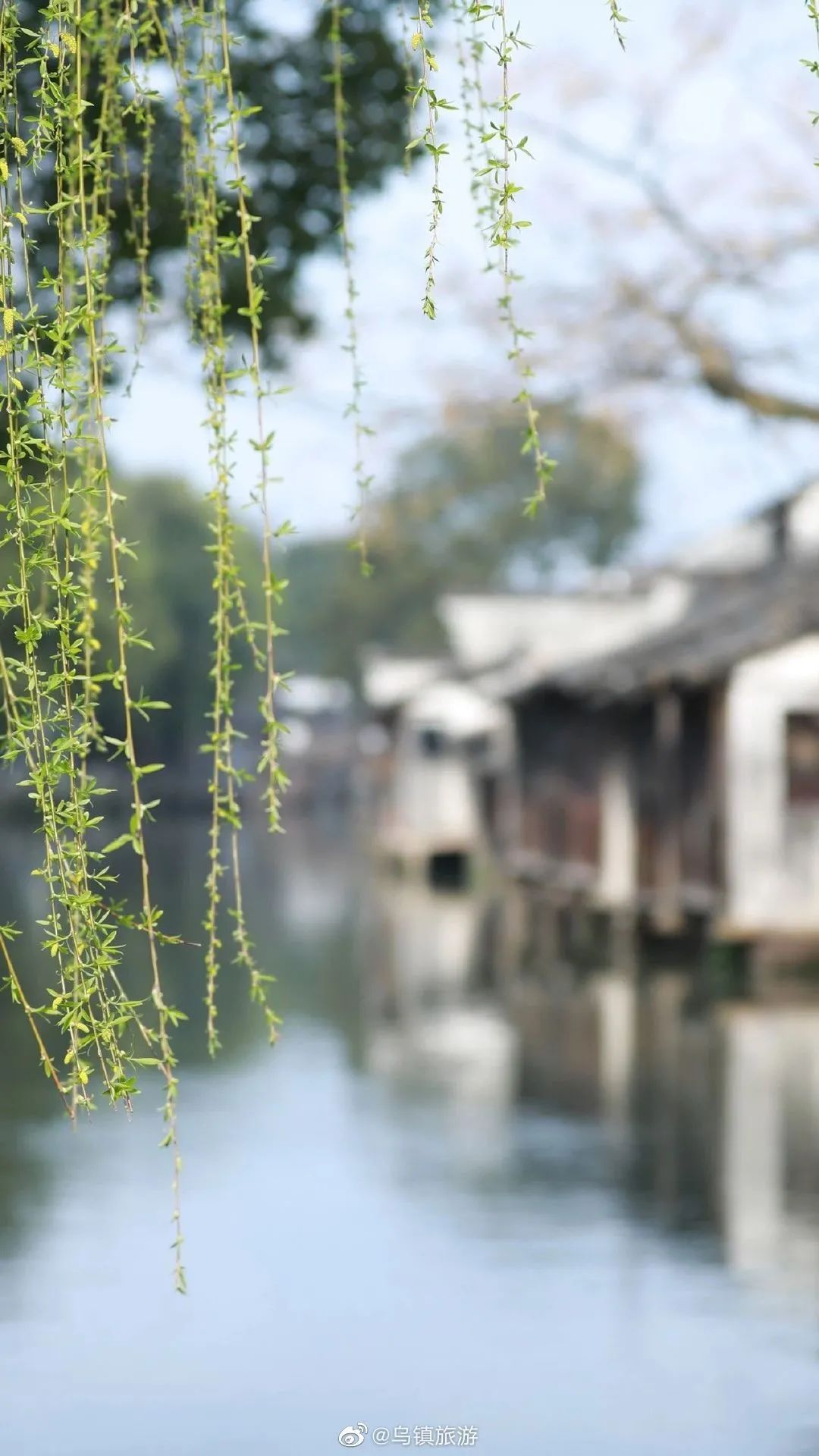 一波晴好天气在路上,不过23日早晨气温较低