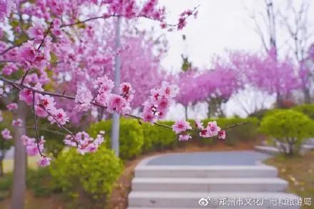升温模式即将开启！你准备好拥抱温暖了吗？| 天气展望