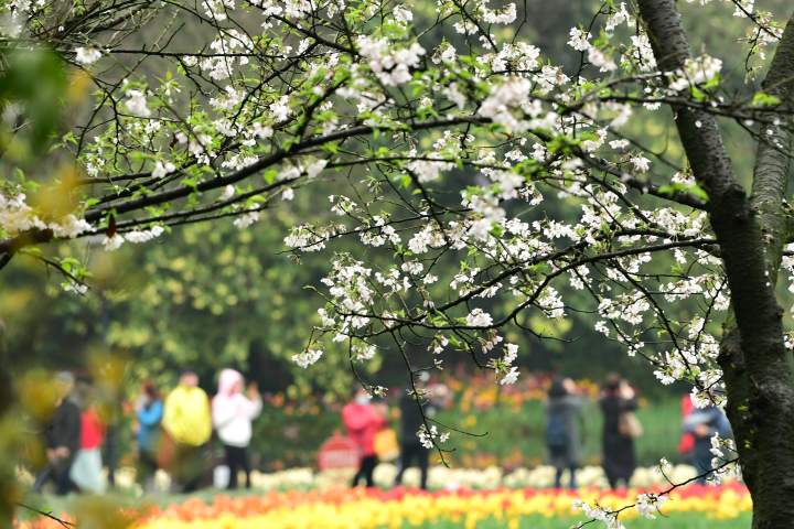 杭州今天天气新闻只有一句话：阳光多么美，抬头看看天