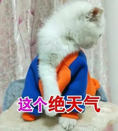 开始了！降低6-10℃，还有雷雨、冰雹、大风！未来几天贵州天气……