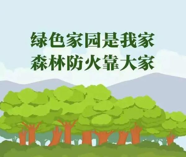 预警！山东天气大回暖，阵风达9级！济南等8市森林火险极度危险