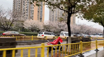直冲27℃!余杭天气太刺激,又要下“雪”了