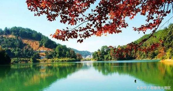 不用远走，广东最适合短途旅游的6个地方，过一个发财中国年吧！