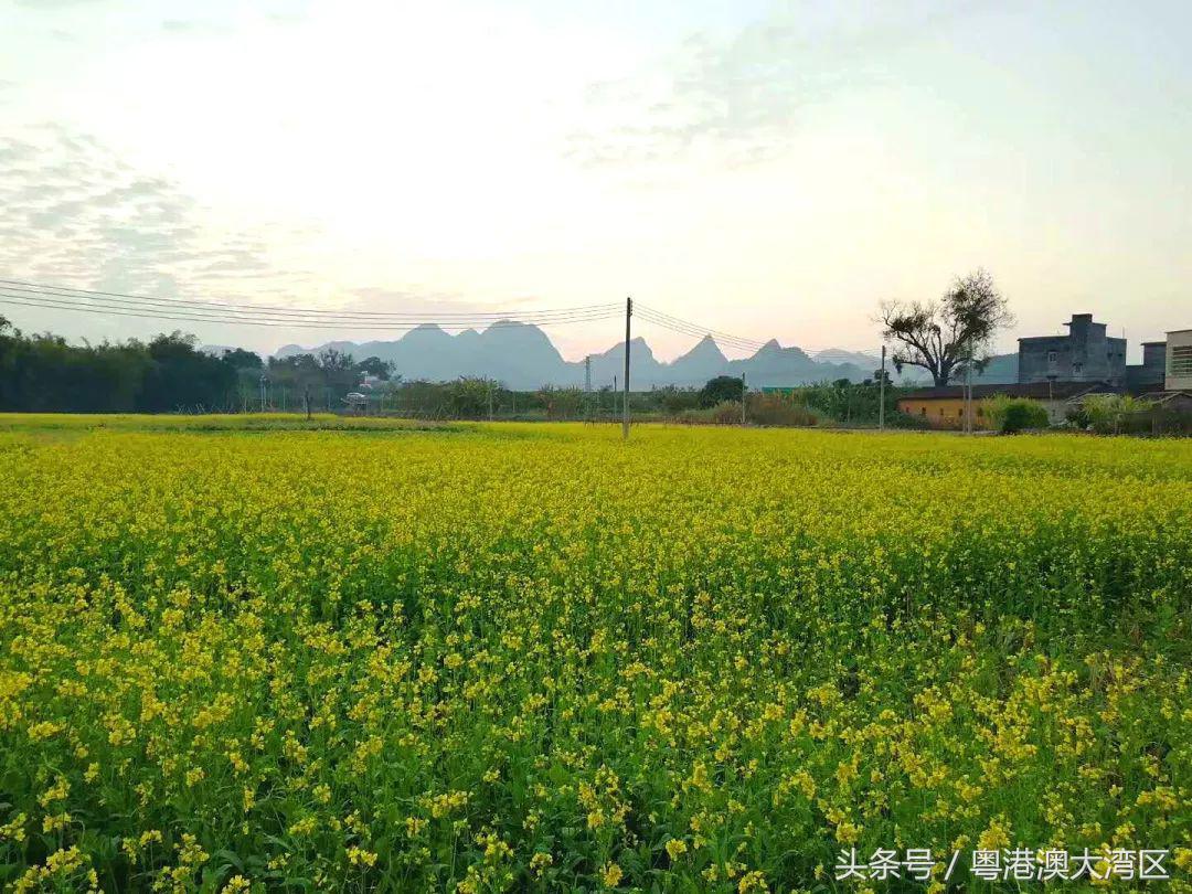 不用远走，广东最适合短途旅游的6个地方，过一个发财中国年吧！