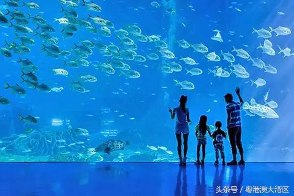 不用远走，广东最适合短途旅游的6个地方，过一个发财中国年吧！