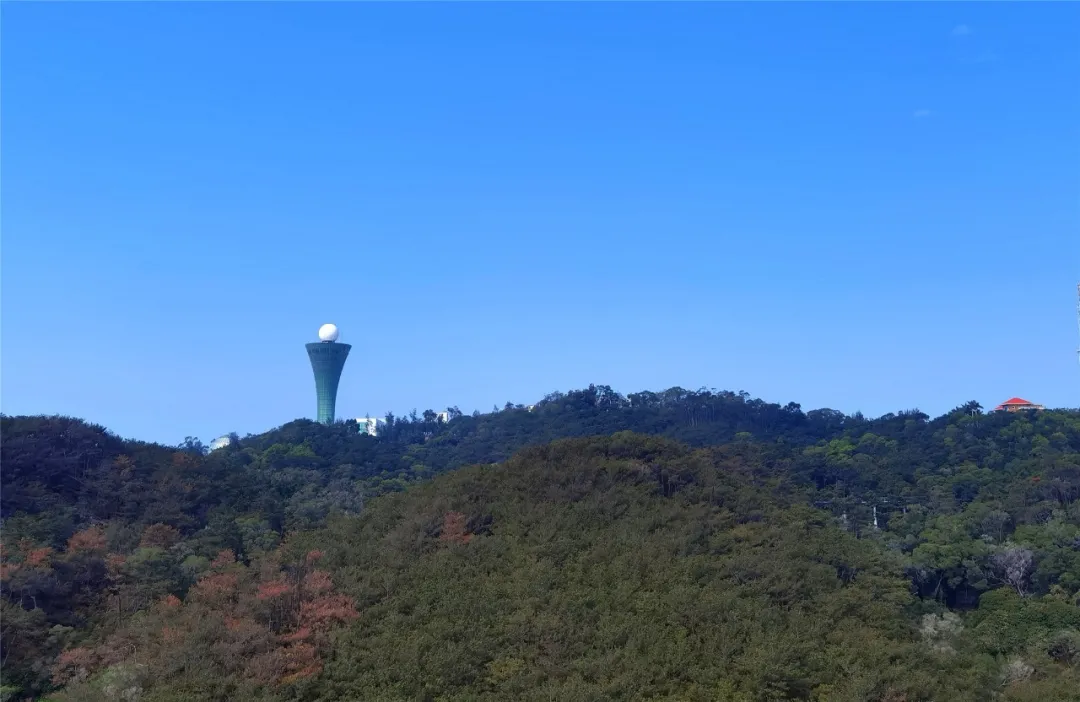直冲30℃!冷空气撤退,厦门一路回暖,这周天气太刺激了
