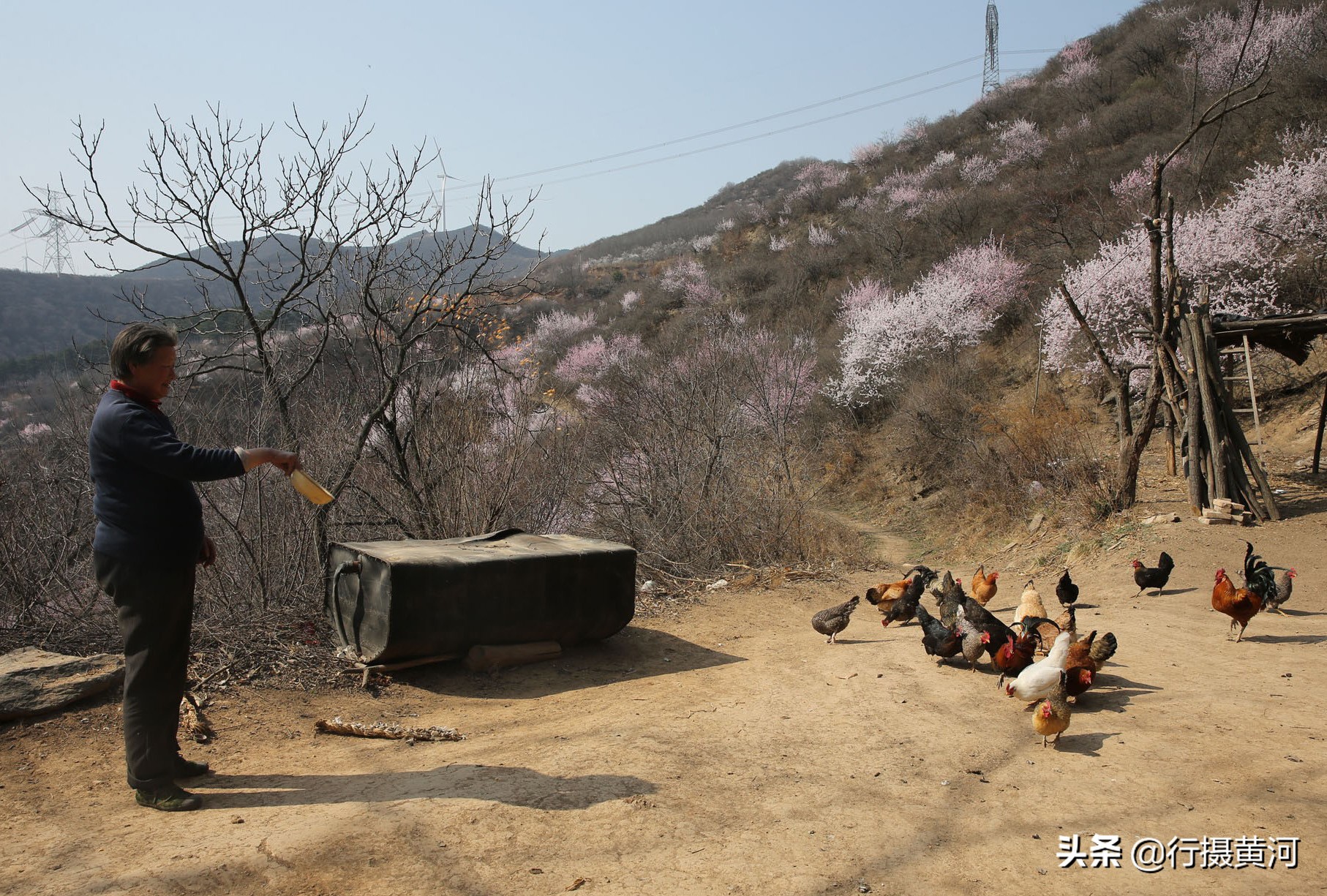 无人机在山西大山发现桃花岛,7旬老夫妻隐居期间生活就像老神仙