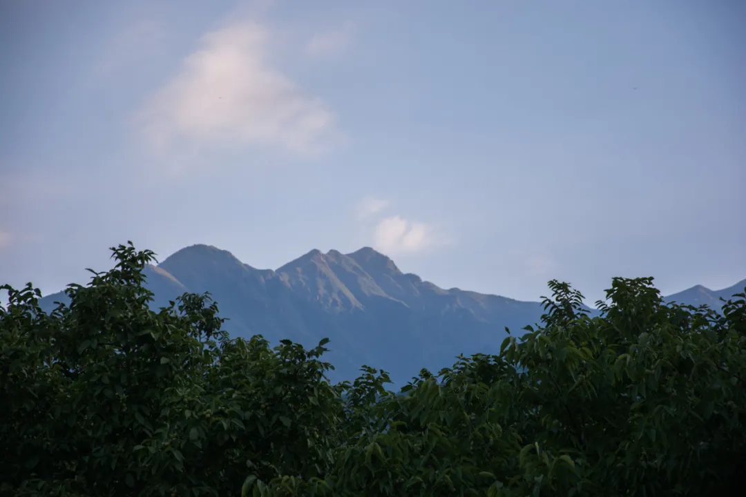 中国最美尼姑庵,不烧香只种花,太美了