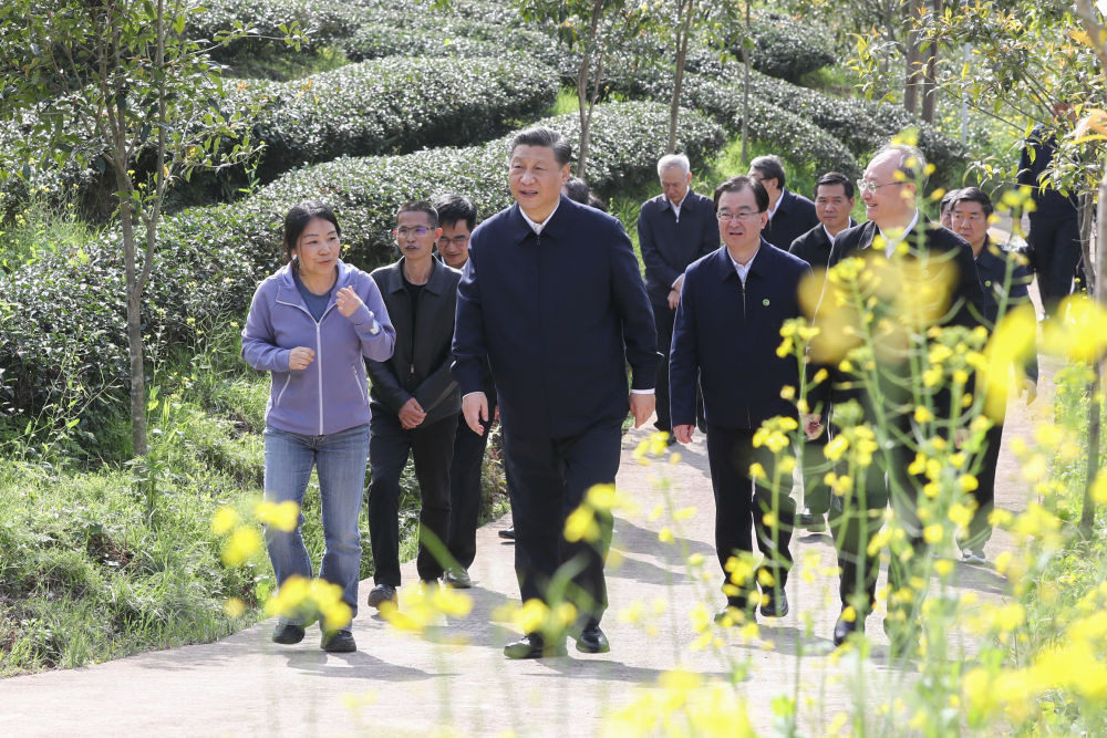 跟着总书记长见识 | 福建之行第一天：生态—产业—文化自信