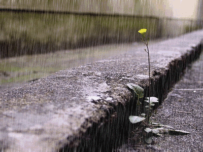 大雨+雷雨!安徽天气又有大变化!反转来了……