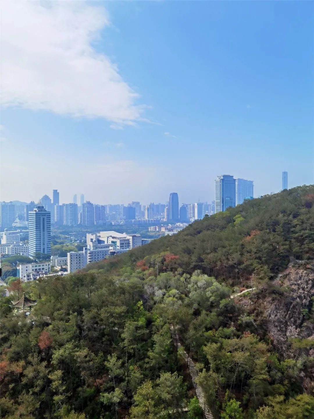 直冲30℃！冷空气撤退，厦门一路回暖，这周天气太刺激了