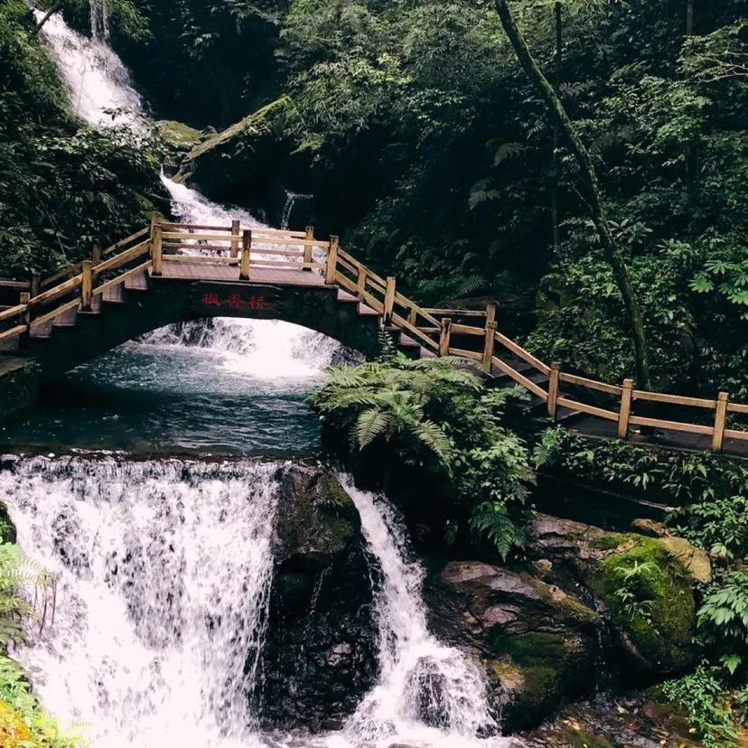 适合一个人旅行的五大城市