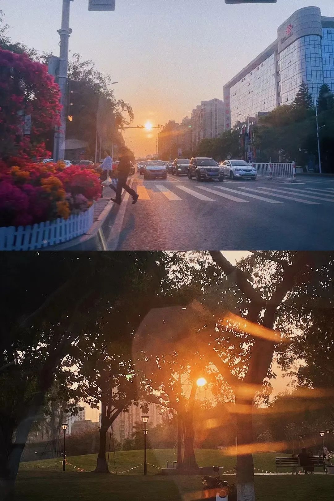 “火箭式”升温!厦门天气将直奔30℃+!接下来将这样