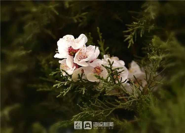 临沂天气要“变脸”!小雨上线