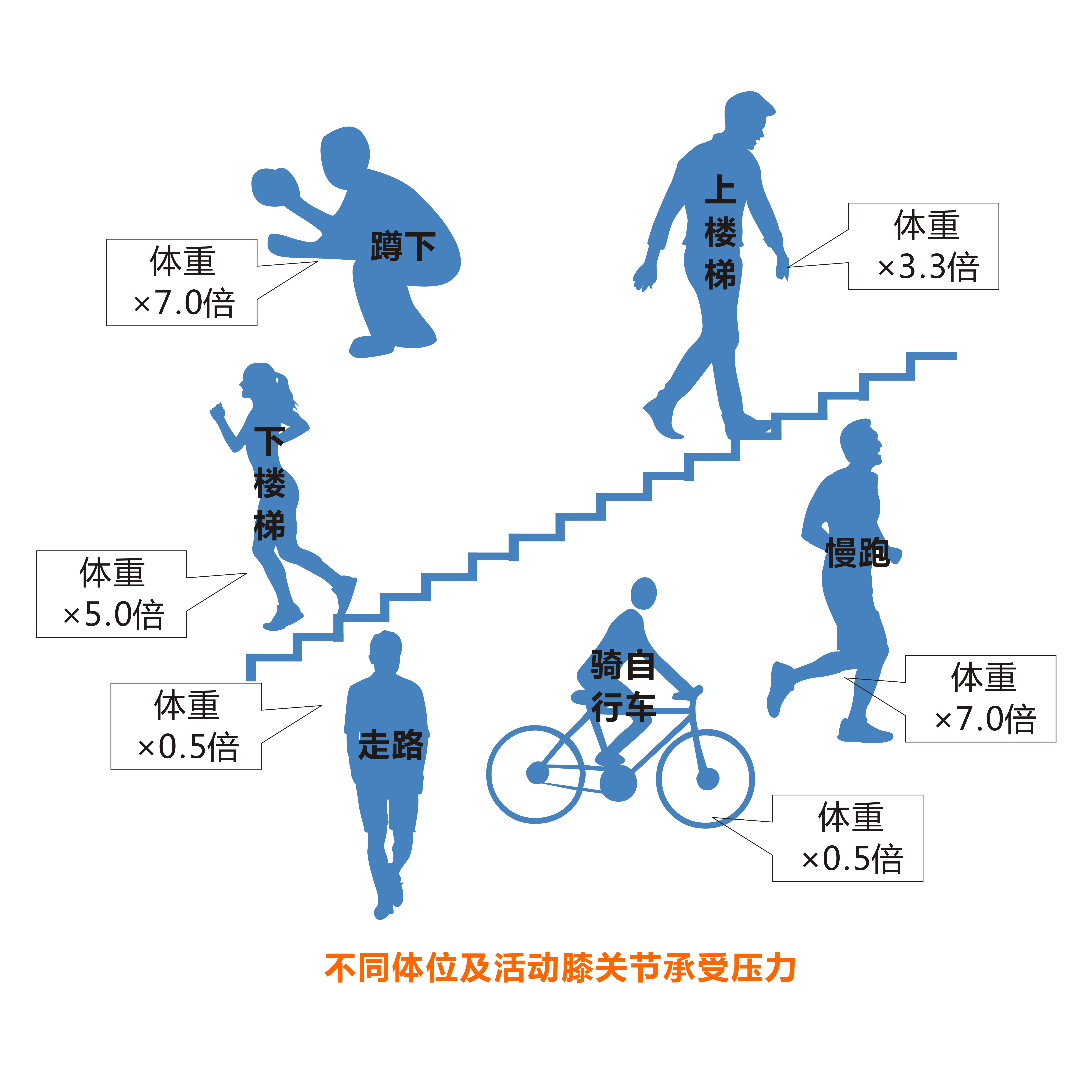 人人都避不开骨骼变老!退行性骨关节炎与骨质疏松理应早预防