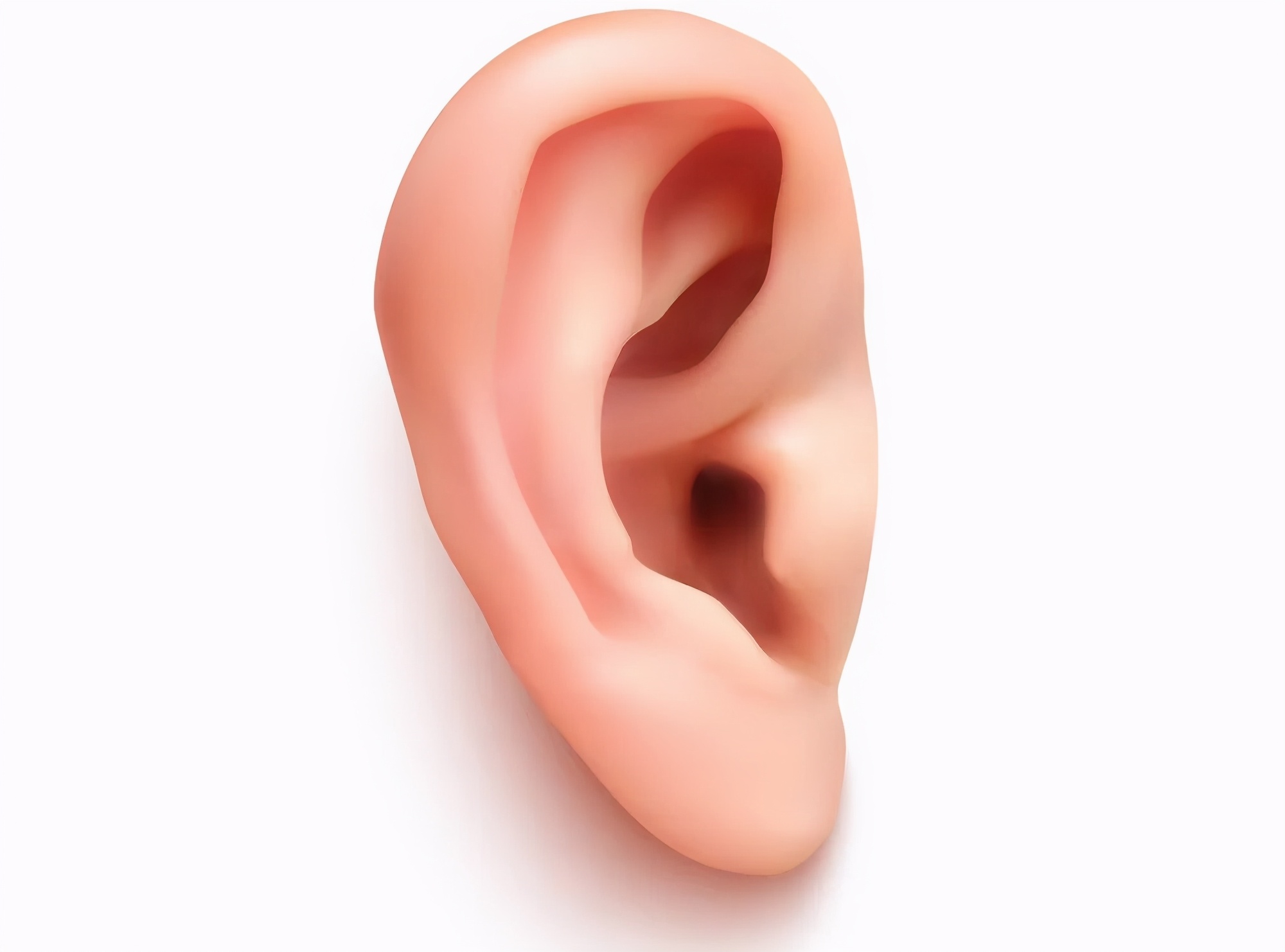 耳垂上有这条折痕，需要警惕冠心病找上门？