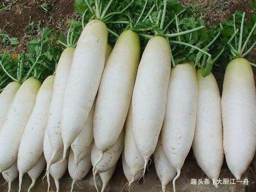 春天减肥离不开这3道青菜，吃着解馋还越吃越瘦，很多人还不知道