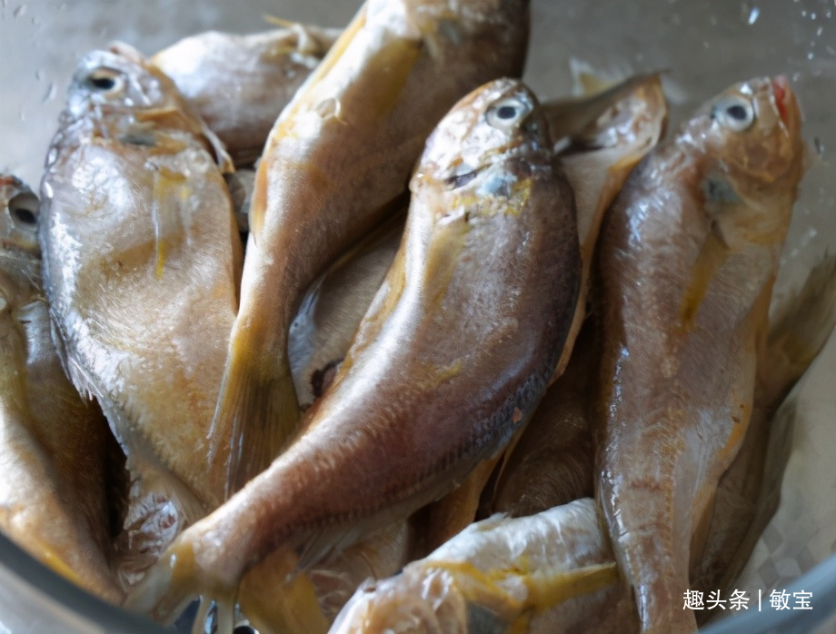春天碰到别手软的鱼，便宜又肥美，无法人工养殖，错过可惜了