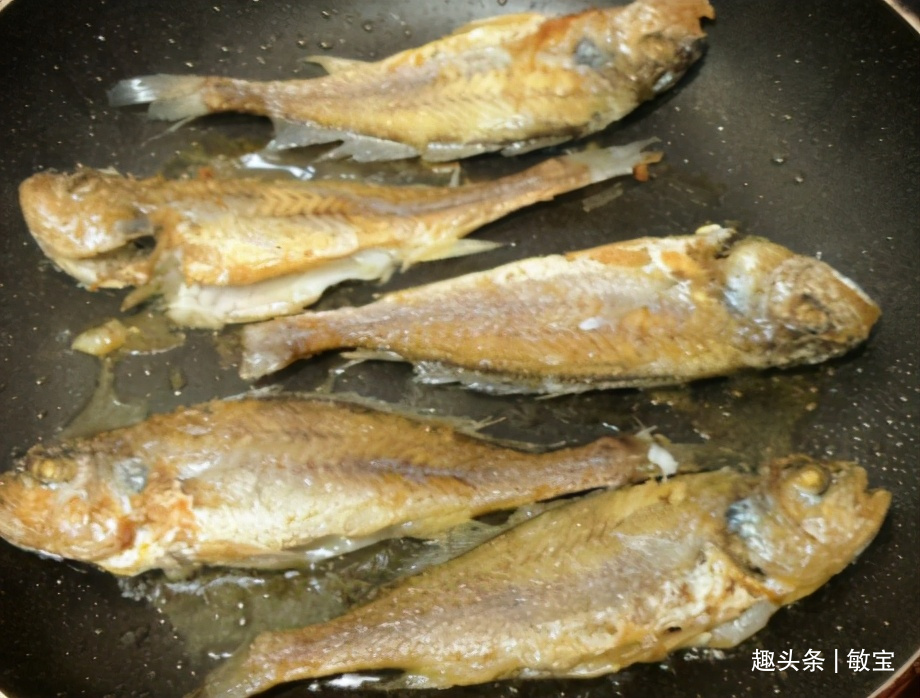春天碰到别手软的鱼，便宜又肥美，无法人工养殖，错过可惜了