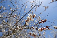 沙尘天气又来了，宁夏部