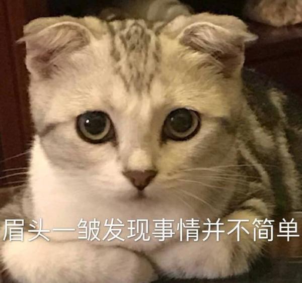 杭州接下来的天气......太刺激！