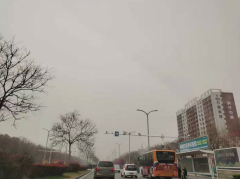 蒙古国南部和东部出现沙