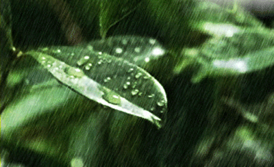 本周舟山天气有点“疯”,温差10℃!阵雨中雨雷雨……