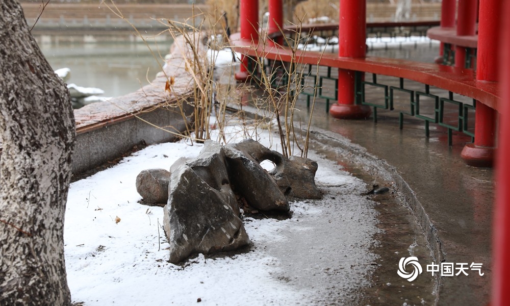 下雪了！新疆乌鲁木齐出现降雪 地面树木皆可见白