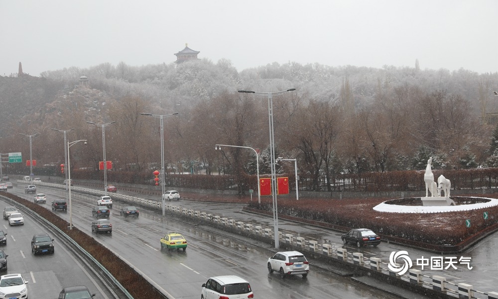 下雪了!新疆乌鲁木齐出现降雪 地面树木皆可见白