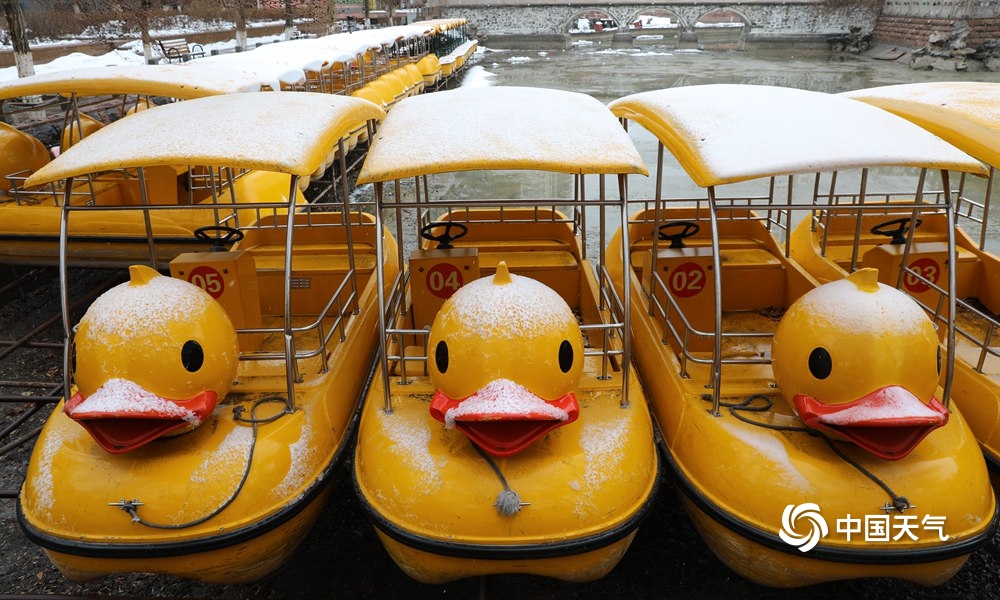 下雪了！新疆乌鲁木齐出现降雪 地面树木皆可见白