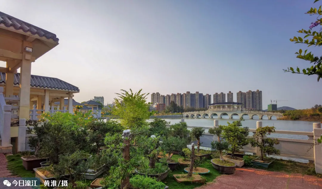 濠江今天最低气温超20℃!天气持续干燥,这件事你一定要注意…