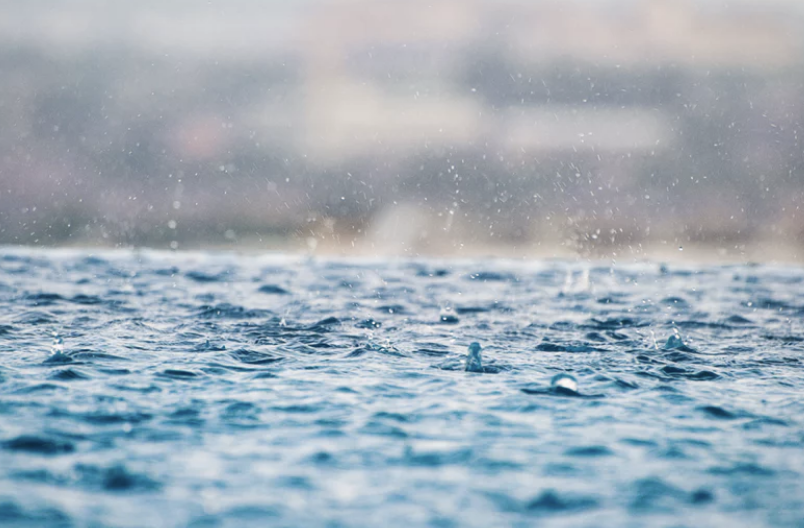 三月的风,四月的雨—明日开始,全市将有一次小到中雨天气过程。