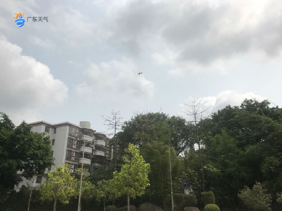 热“晴”!未来几天广东最高气温上升