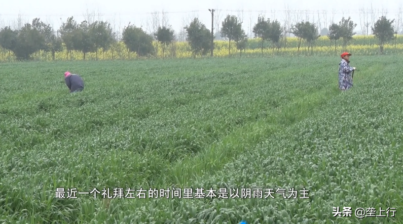 前方请注意!本周,湖北一大波阴雨降温天气将要来袭