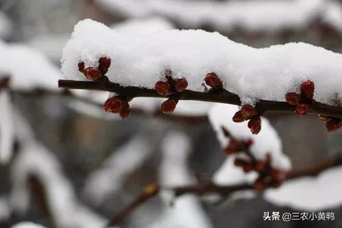 四月到,新一轮雨雪天气预报,清明时节之后天气还会冷吗?