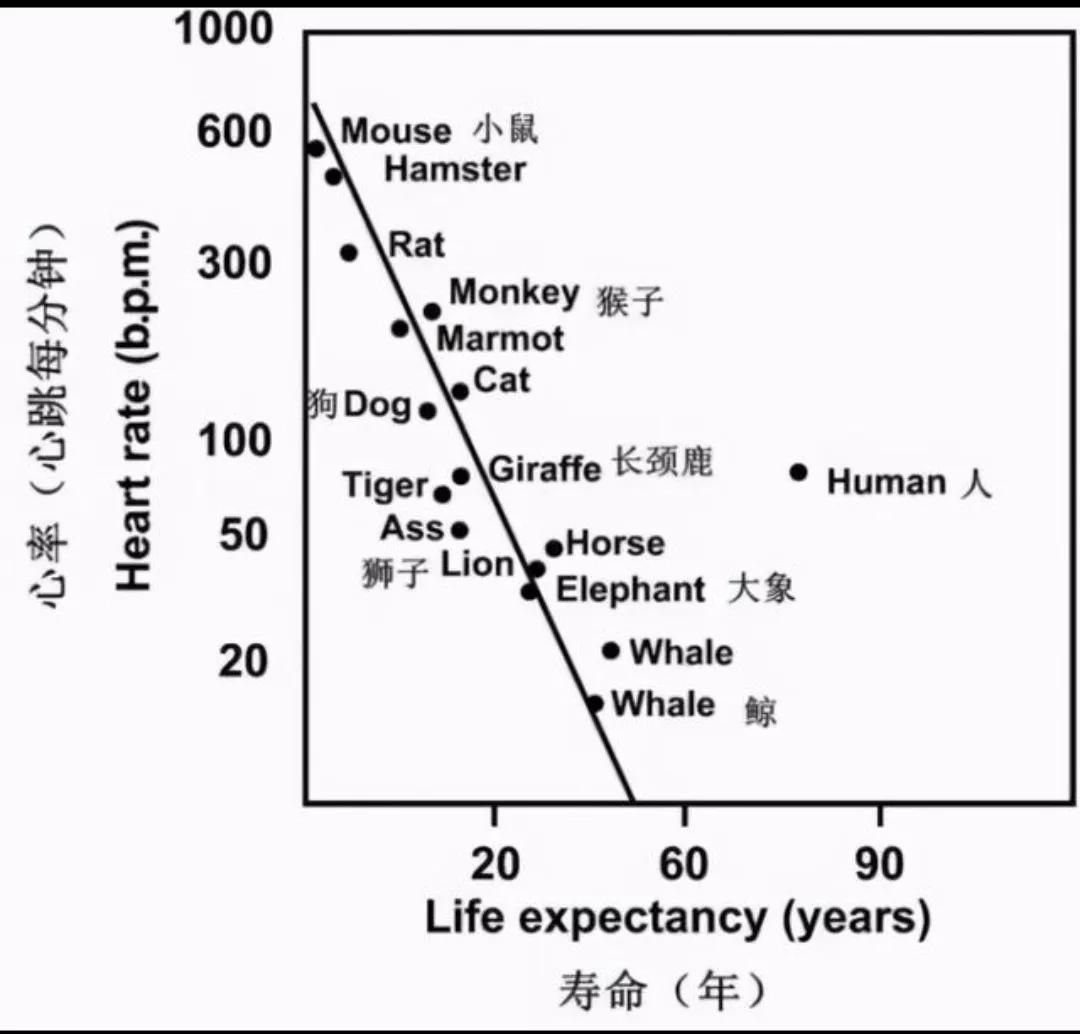 中老年养生延寿是在静还是在动?学会正确的养生方式让人健康变老