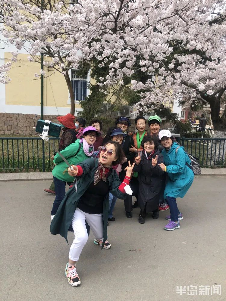 阵风8级+降温10℃+局部大雨!青岛天气大反转,清明节假期要“泡汤”?