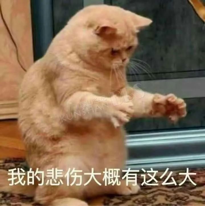 阵风8级+降温10℃+局部大雨!青岛天气大反转,清明节假期要“泡汤”?