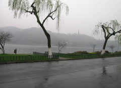 河南全省大部分地区有一
