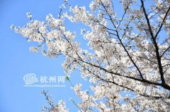 杭州今年清明假期天气相