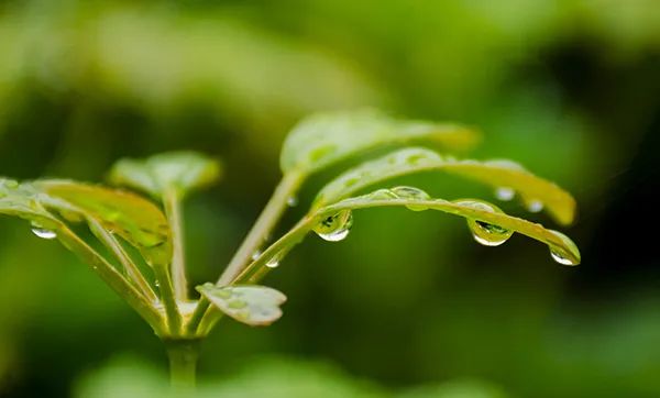 清明节假日期间山西多地有雨雪天气