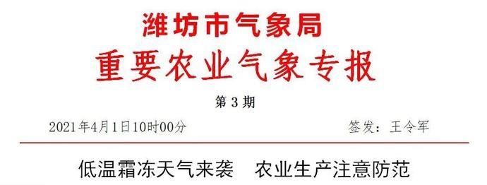 低温霜冻+降雨!!潍坊天气大变脸
