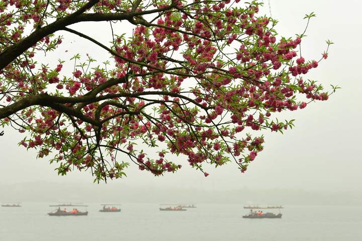 天气|假期先雨后晴,19℃→17℃→15℃,记得备稍厚外套哦