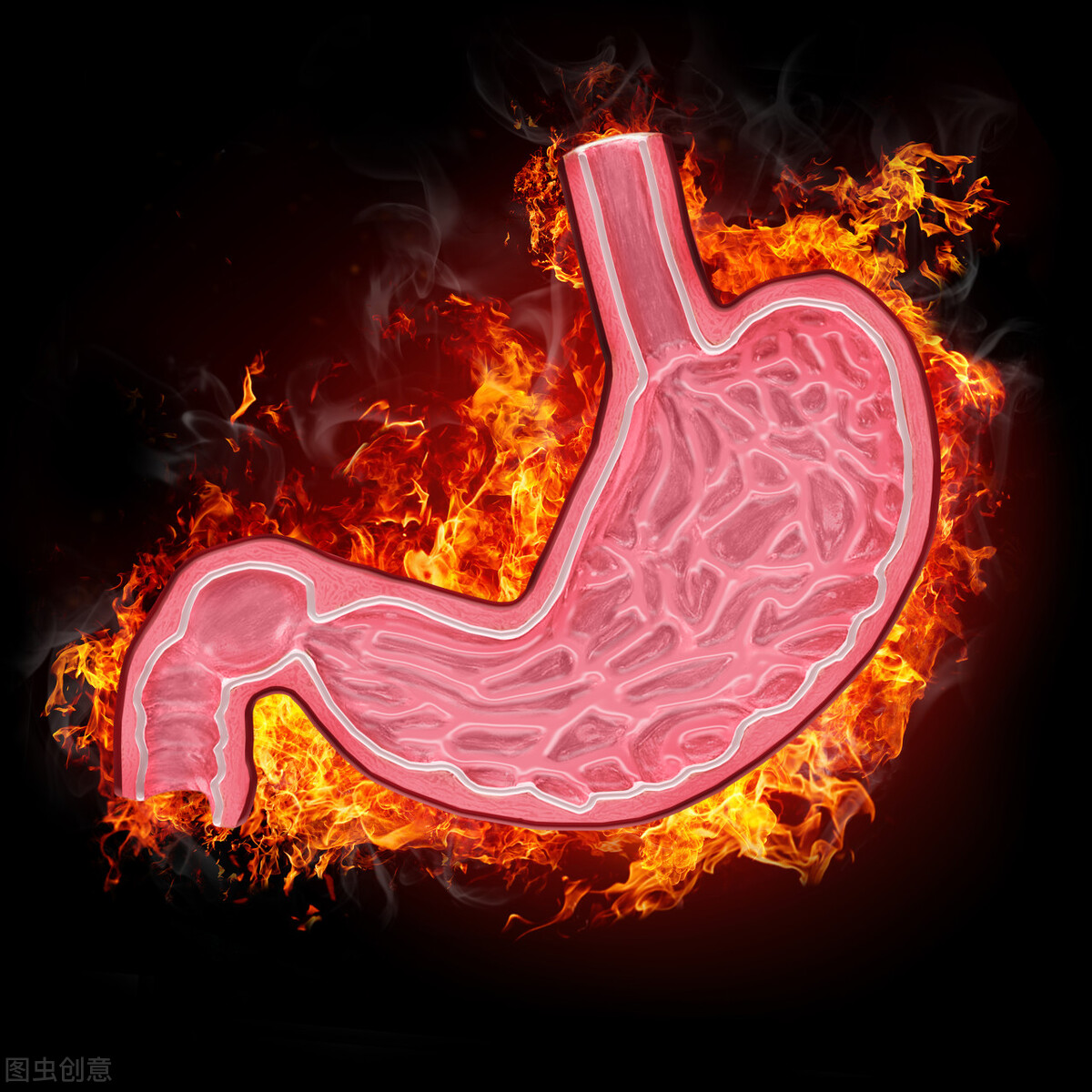 早上起床总感觉口苦、口臭,是身体这里出了问题