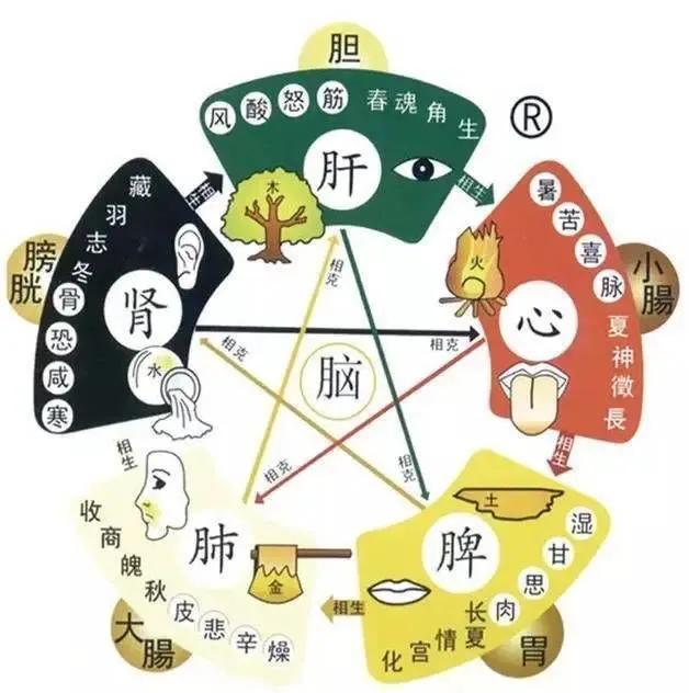春天“眼干、眼胀”怎么办?肝开窍于目,重在养肝血