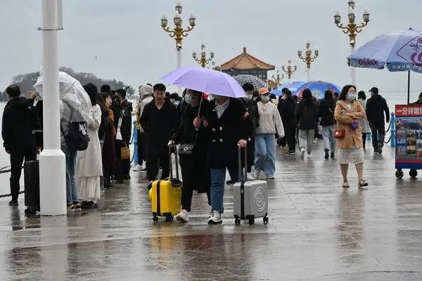 放晴了!最新天气预报出炉…春游安排起来,青岛这些地方太美了