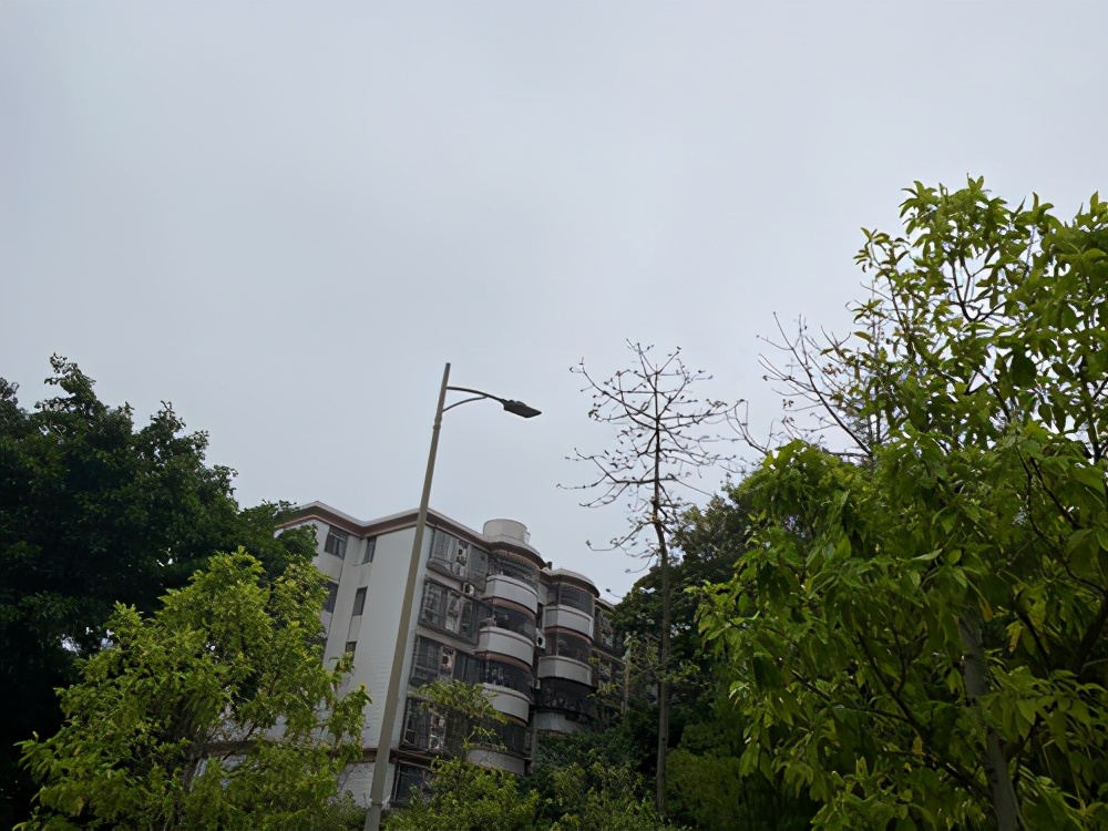 清明节太热?冷空气卡点来降温