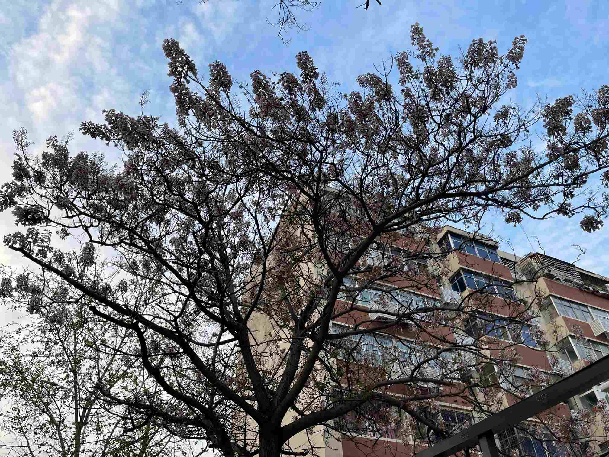 清明假期最后一天我省天气如何?还会“雨纷纷”吗?