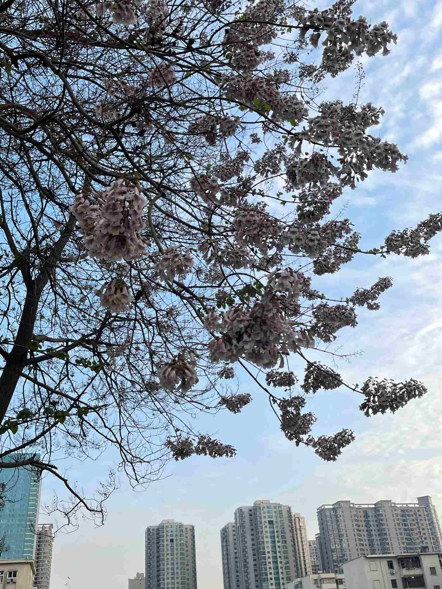 清明假期最后一天我省天气如何?还会“雨纷纷”吗?